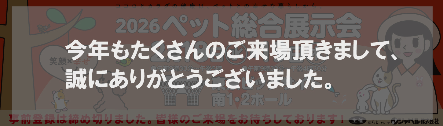 2026展示会