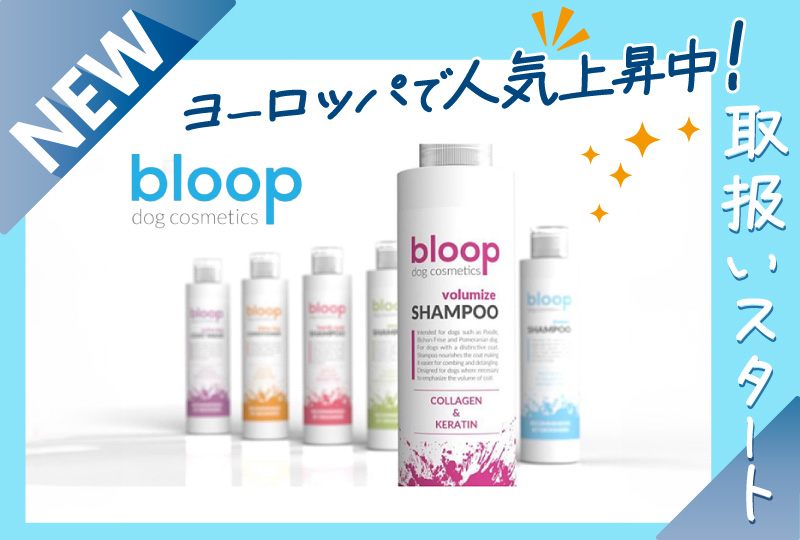 bloop取扱い開始