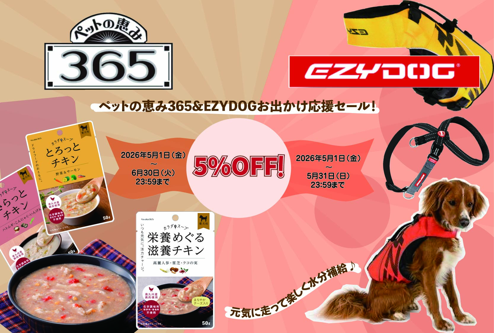 新東亜交易キャンペーン