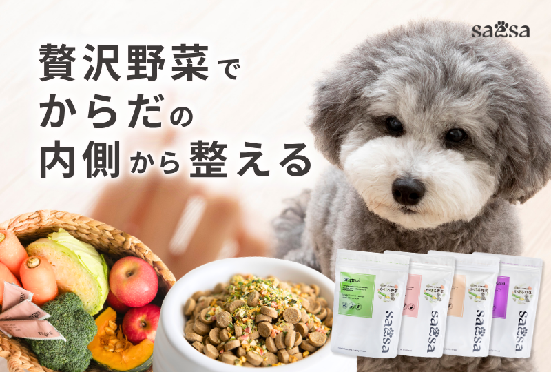 日華フーズ特集