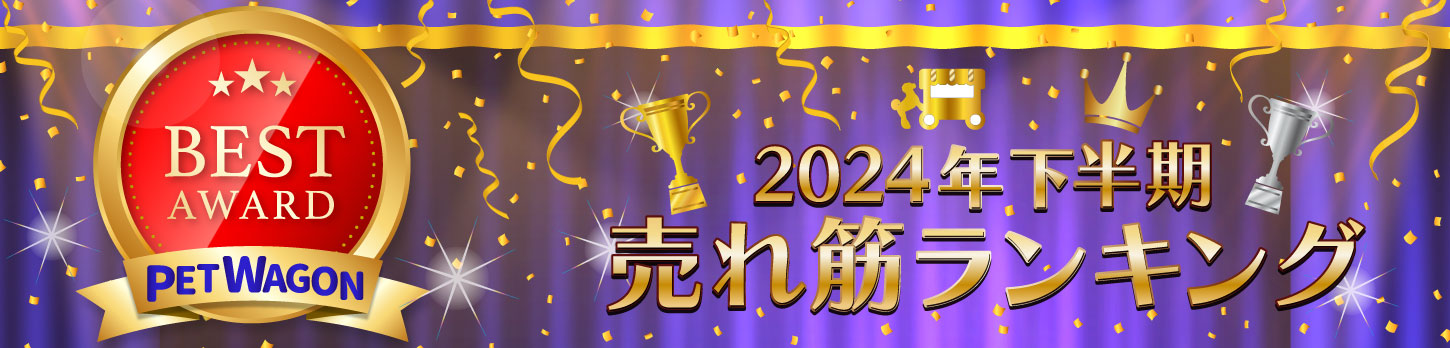 2024下半期ランキング