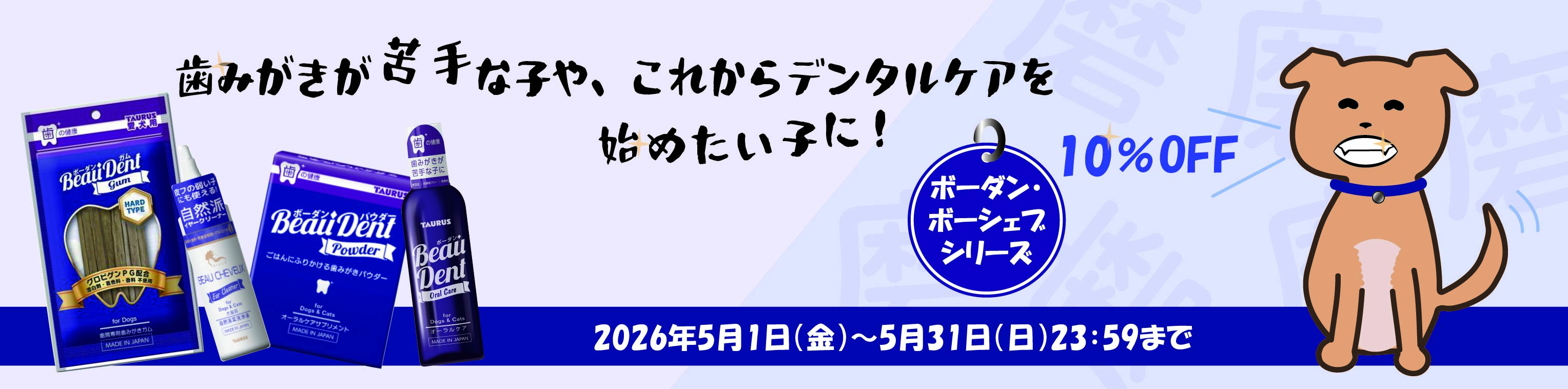 2026年5月ボーダン10%OFF