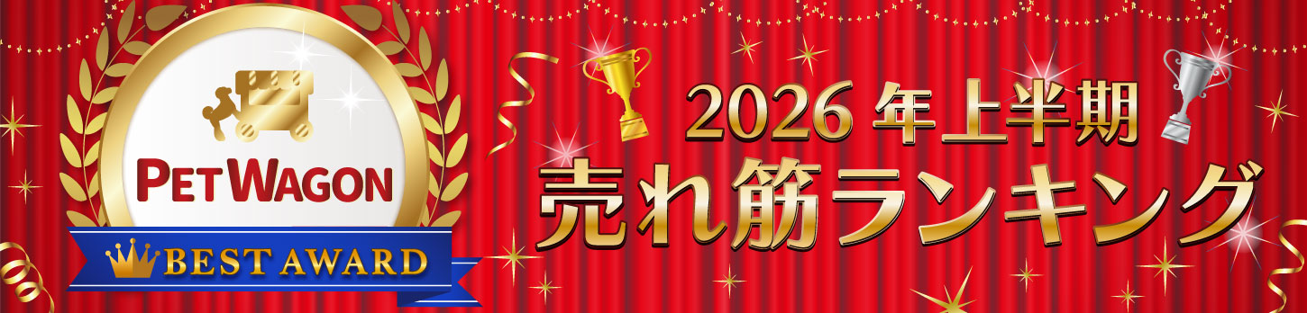 2026上半期ランキング