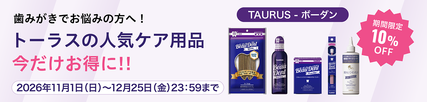 トーラス