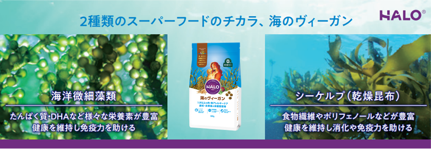 大好評 海のヴィーガン