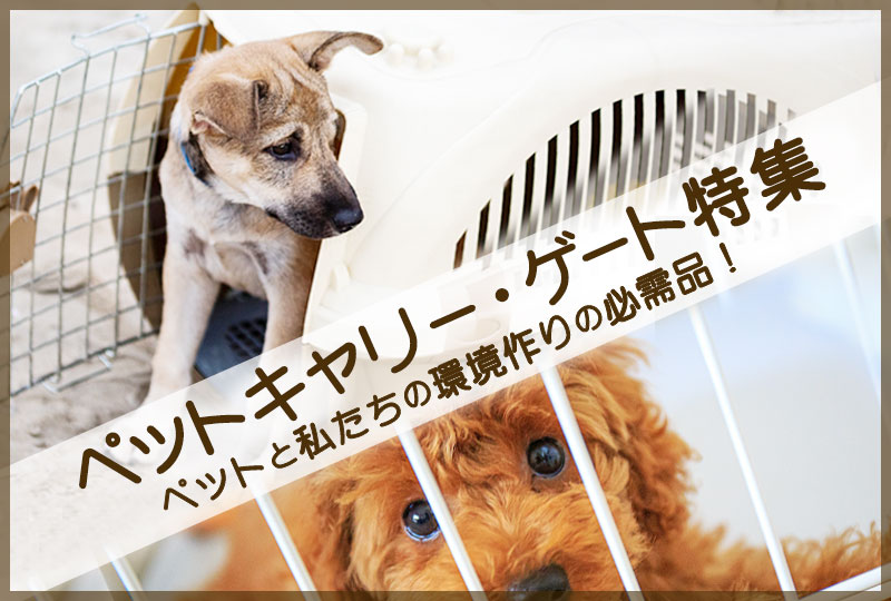 ☆特集一覧: ｜業務用トリミング用品通販ショップ【ペットワゴン】