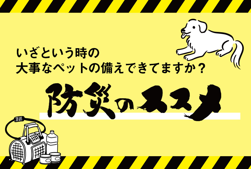 トップページ｜業務用トリミング用品通販ショップ【ペットワゴン】