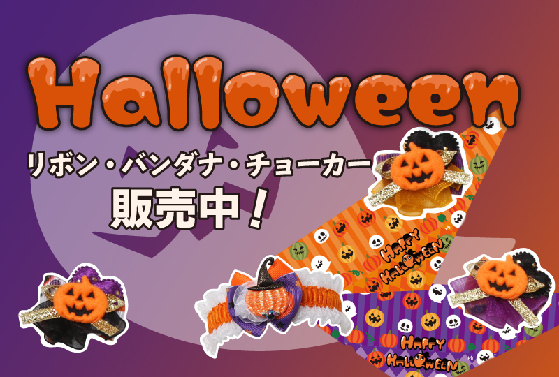 2026ハロウィン販売開始
