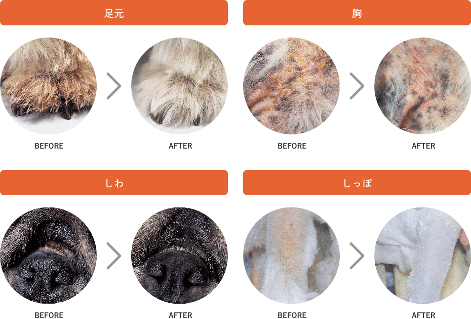 足元・胸・しわ・しっぽのビフォー＆アフター比較写真
