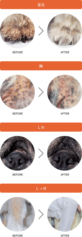 足元・胸・しわ・しっぽのビフォー＆アフター比較写真