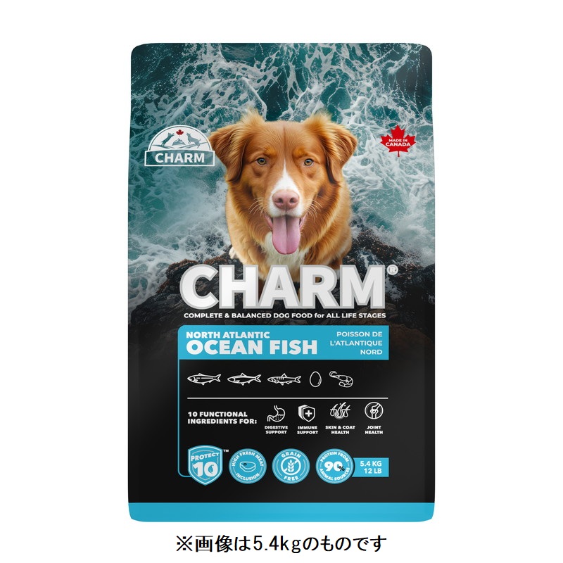 チャーム ノース・アトランティック・オーシャン・フィッシュ ドッグフード 340g