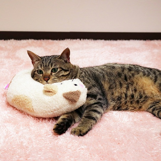 あごのせ猫枕 みけニャン: 100｜業務用トリミング用品通販ショップ【ペットワゴン】