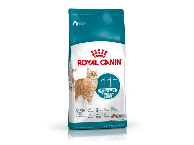 FHN エイジングステアライズド 11+ 猫用 4kg