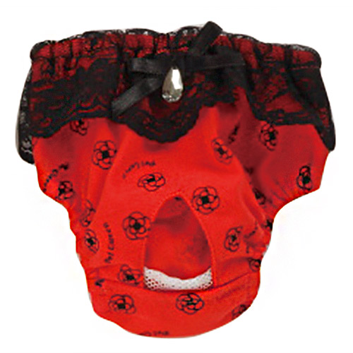 ランジェリー パンツ Lサイズ レッド