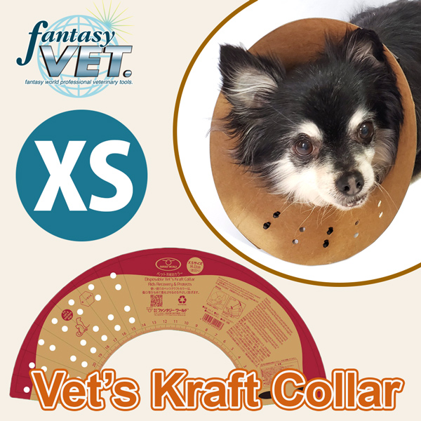 ベッツクラフト カラー