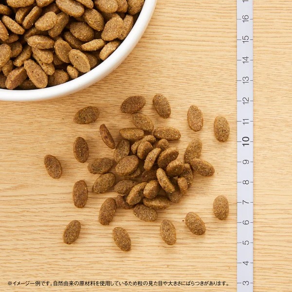ブリーダー】ニュートロ ナチュラル チョイス キャット 室内猫用