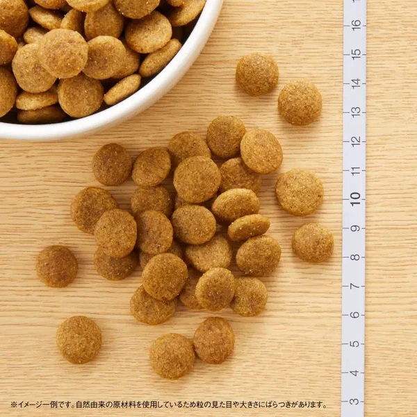 ブリーダー】ニュートロ ナチュラル チョイス 中型犬～大型犬用 成犬用