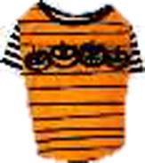 4つかぼちゃ オレンジ