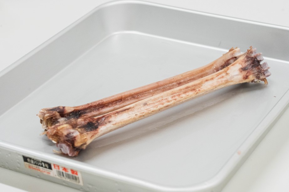 エゾ鹿　中手骨