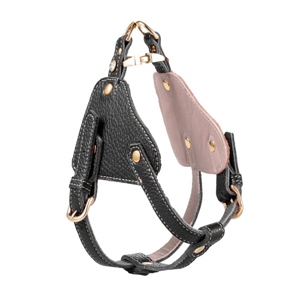 ボディベルト Bタイプ ナチュラルスキン ブラック