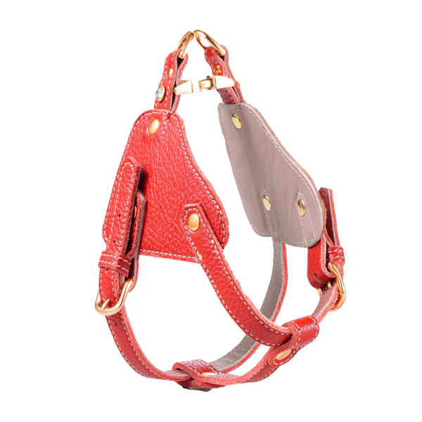 ボディベルト Bタイプ ナチュラルスキン レッド