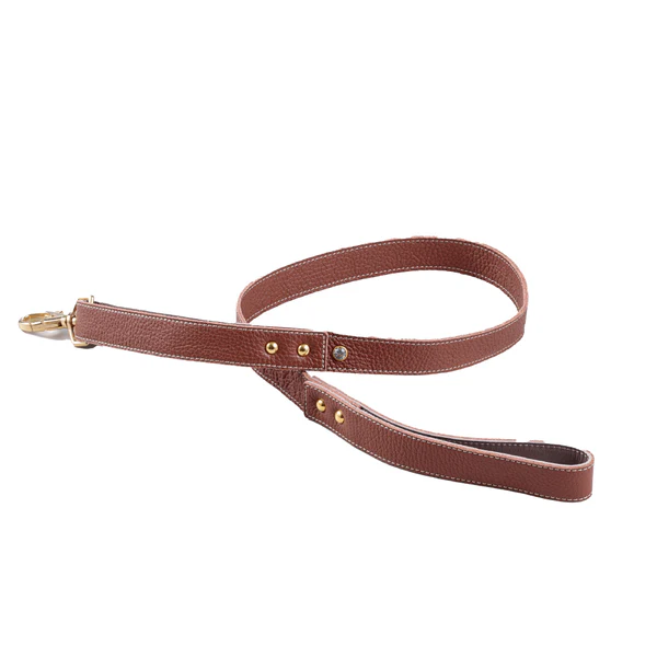 リード BCタイプ ナチュラルスキン ブラウン