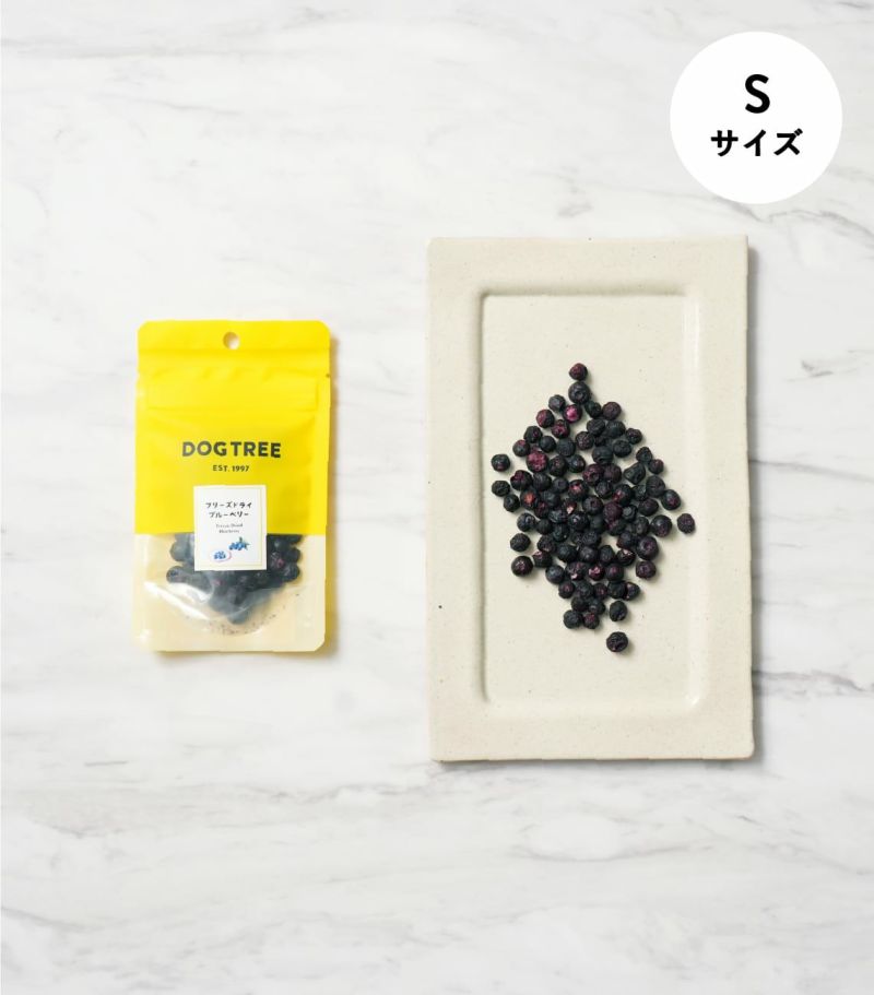 フリーズドライ ブルーベリー S 5g