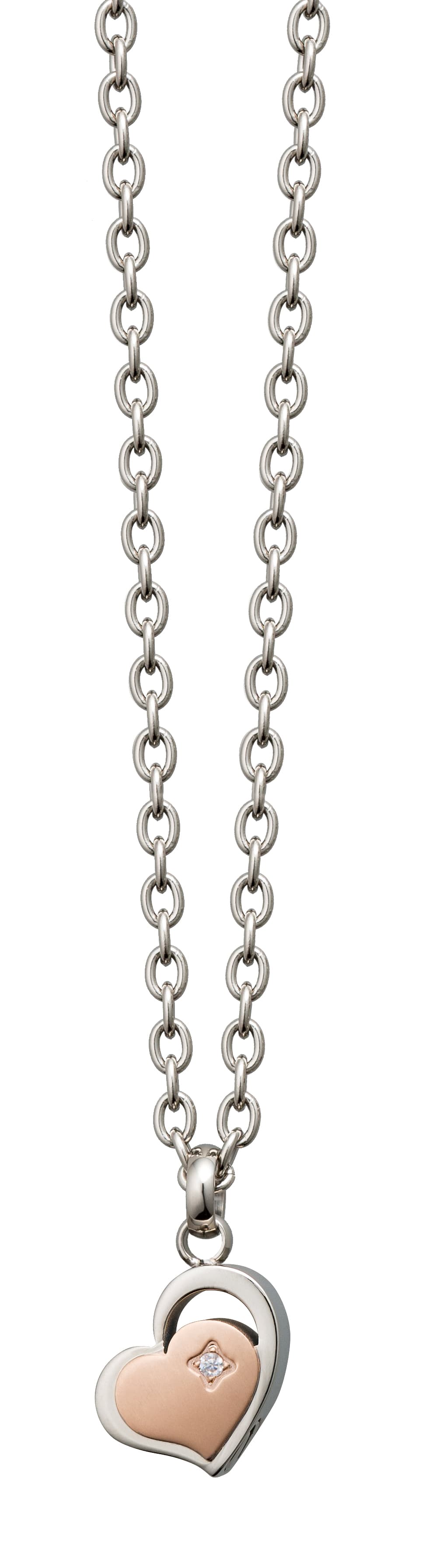 遺骨ペンダント チタン クオーレ ローズ メンズ