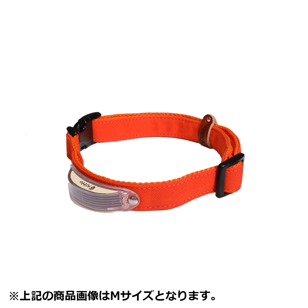 Kitto 犬用首輪 オレンジ（マンダリンオレンジ） 3S