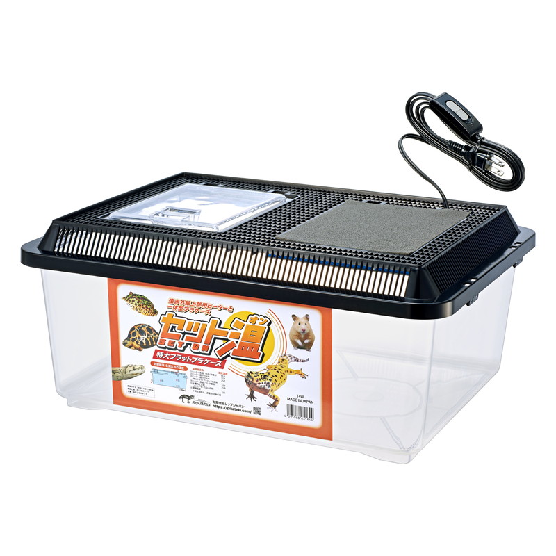 セット温 特大フラットプラケース