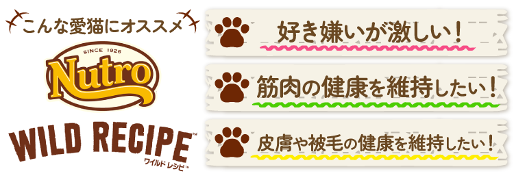 ワイルドレシピ