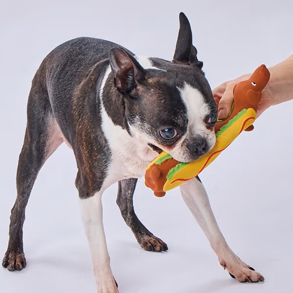 犬用おもちゃ ながーいラテックスTOY ホットドッグ(ホットドッグ): 300
