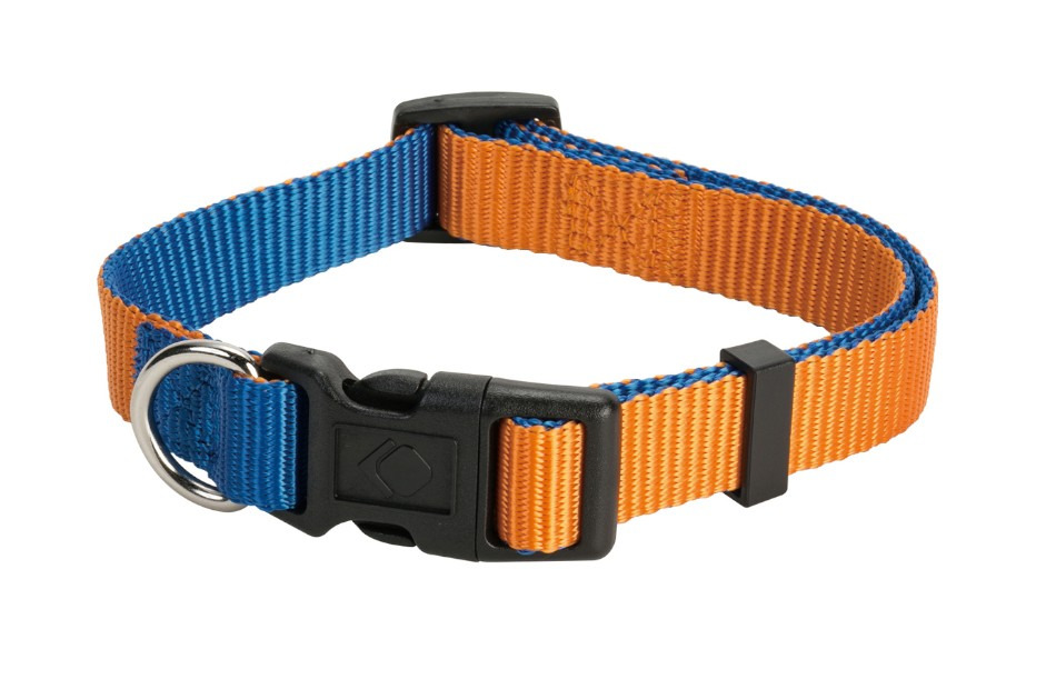 オレンジ／ブルー