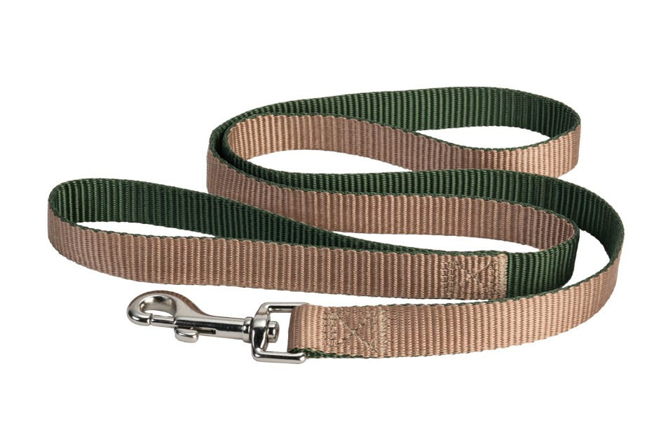 グリーン／ライトブラウン