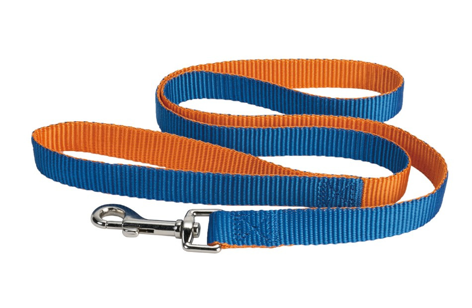 オレンジ／ブルー