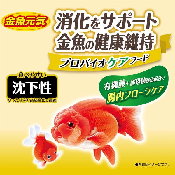 金魚元気 プロバイオケアフード 沈下性 70g: 100｜業務用トリミング 