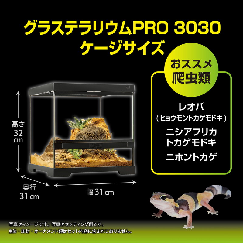 グラステラリウムPRO3030 PT4400: 100｜業務用トリミング用品通販