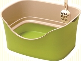 ピスタチオグリーン