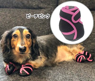 PADT‐XSPK いぬたび ピーチピンク XSサイズ