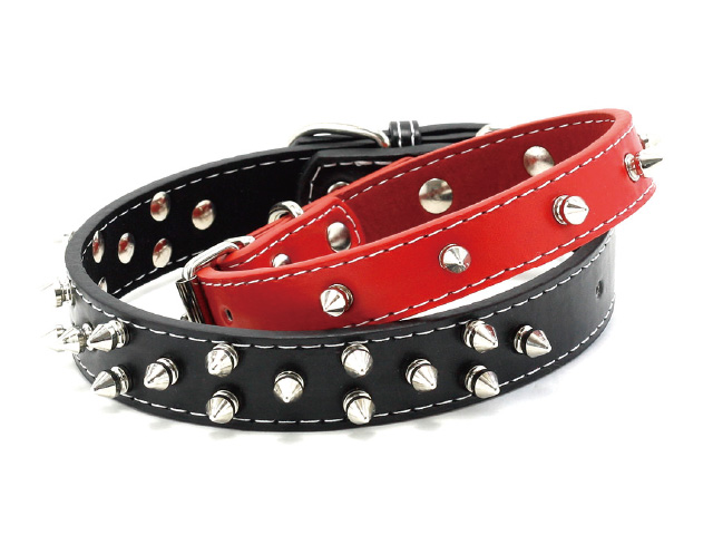 ワイルドカラー M