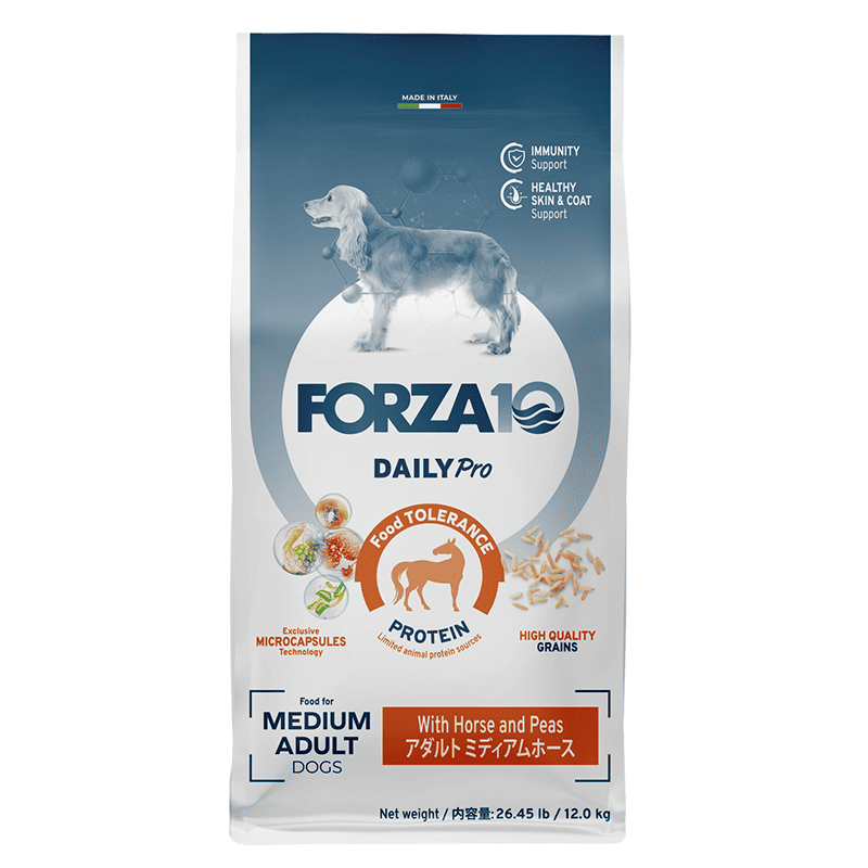 2】【2026年名入れカレンダー】ワンワンワールド SA-343: 93｜業務用