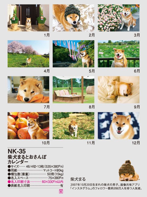 2024年名入れカレンダー 柴犬まるとおさんぽカレンダー NK35