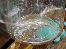 シャンプーは透明でサラサラの液状。1回の使用量はこのくらい